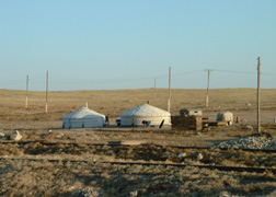 Mongol Yurts